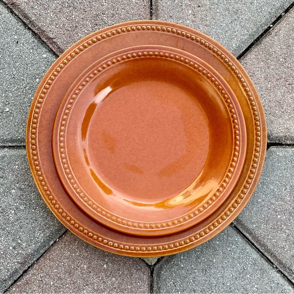 Pier 1 Spice Route Nutmeg Dinner and Salad Plate Set